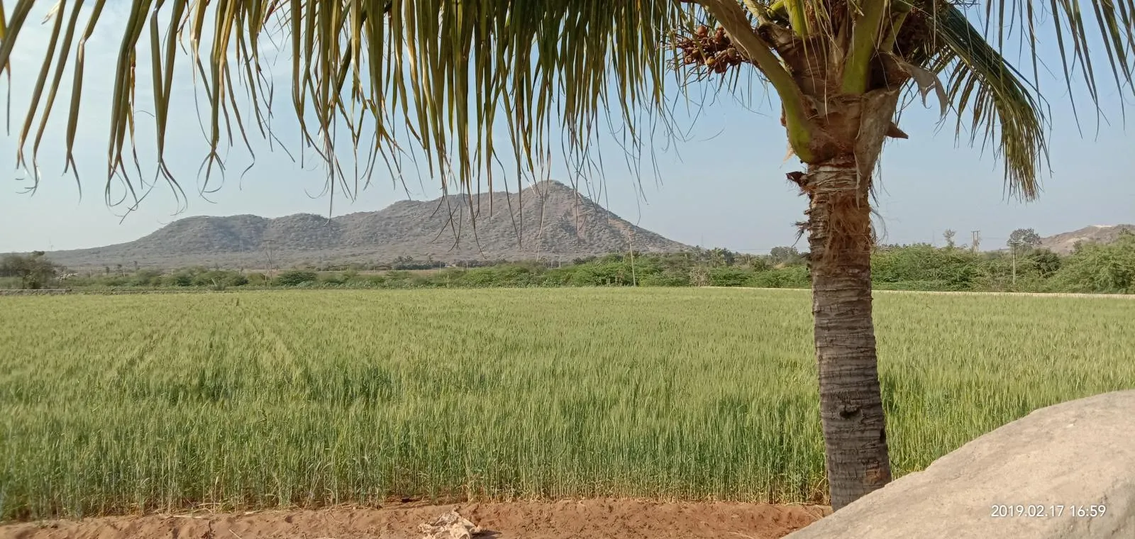 Kutch landscape gallery photo